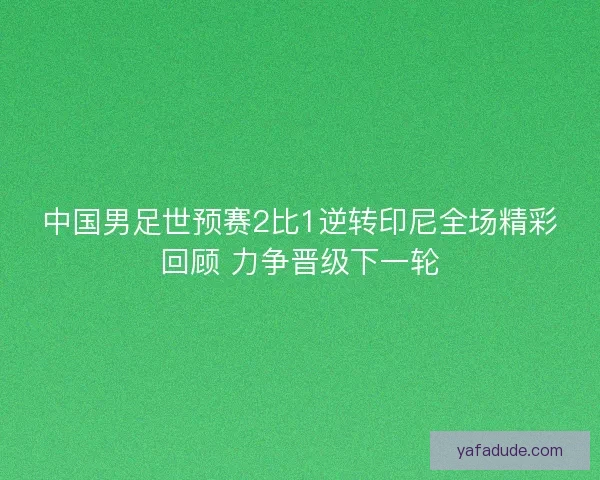 中国男足世预赛2比1逆转印尼全场精彩回顾 力争晋级下一轮